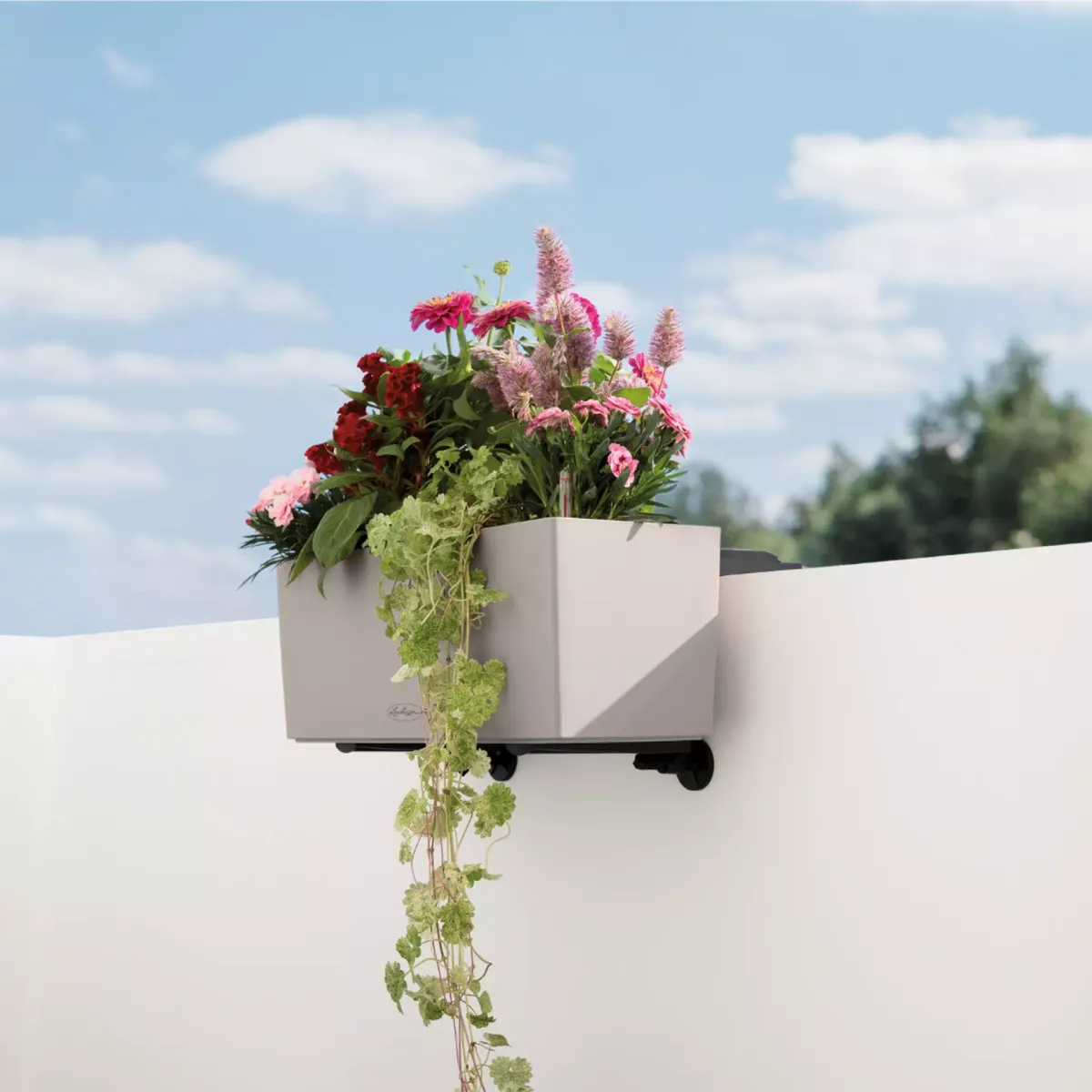 Brakettsett  for balkongvegg til Lechuza Balconera, Sort